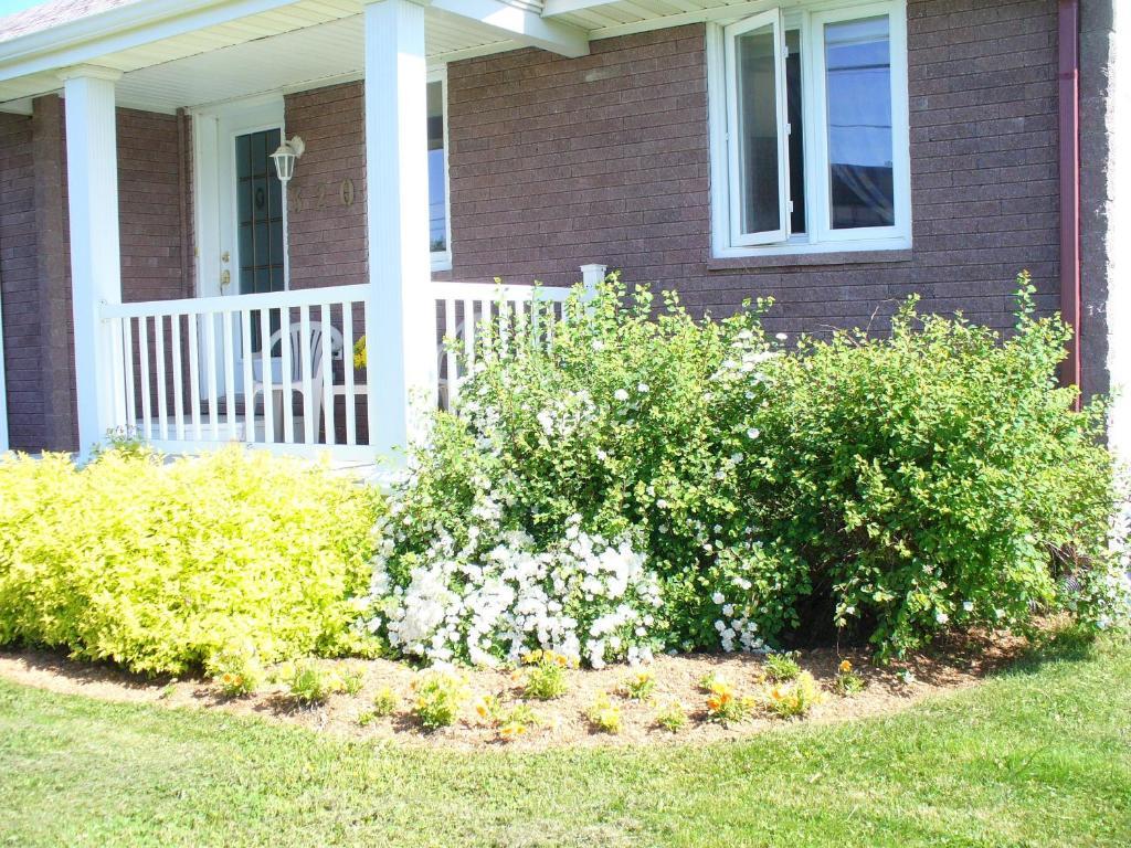 Gite Parfum De Mer Bed And Breakfast Pabos Bagian luar foto